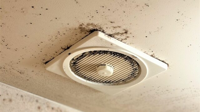 【お風呂の天井のカビ】自力掃除は不完全?自分でやるリスク&プロに頼むべき5つの理由
