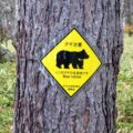 クマ撃退スプレーが推奨される理由とは？催涙スプレーや鈴の効果と知っておきたい備え