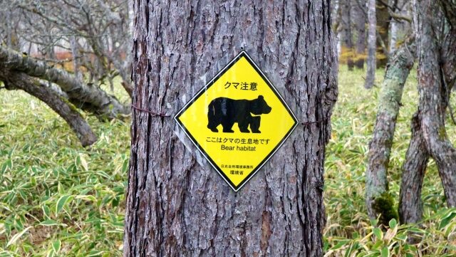 クマ撃退スプレーが推奨される理由とは？催涙スプレーや鈴の効果と知っておきたい備え