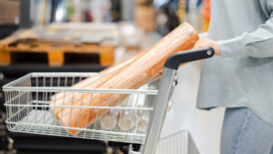 【クマ撃退スプレーはホームセンターで買える?】取扱店や注意点、購入以外の賢い選択肢もご紹介