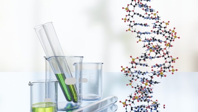 【体質診断ダイエット】頑張ってるのに痩せないのはなぜ？自分に合う食べ方・運動を知って効率よく理想の自分へ🥗🏃‍♀️