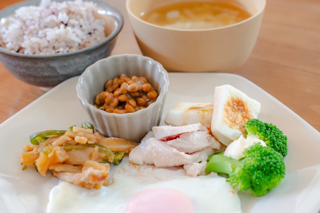 🌟 タンパク質を「毎食」味方につける