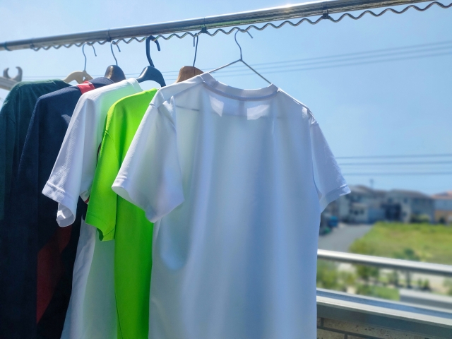 🔍なぜ？家の中でも花粉症で目がかゆくなる3つの理由